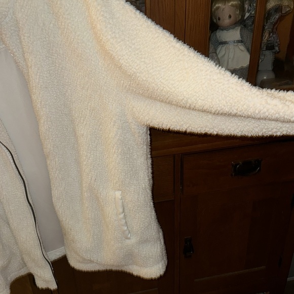 Katydid - Picture 2 of 4